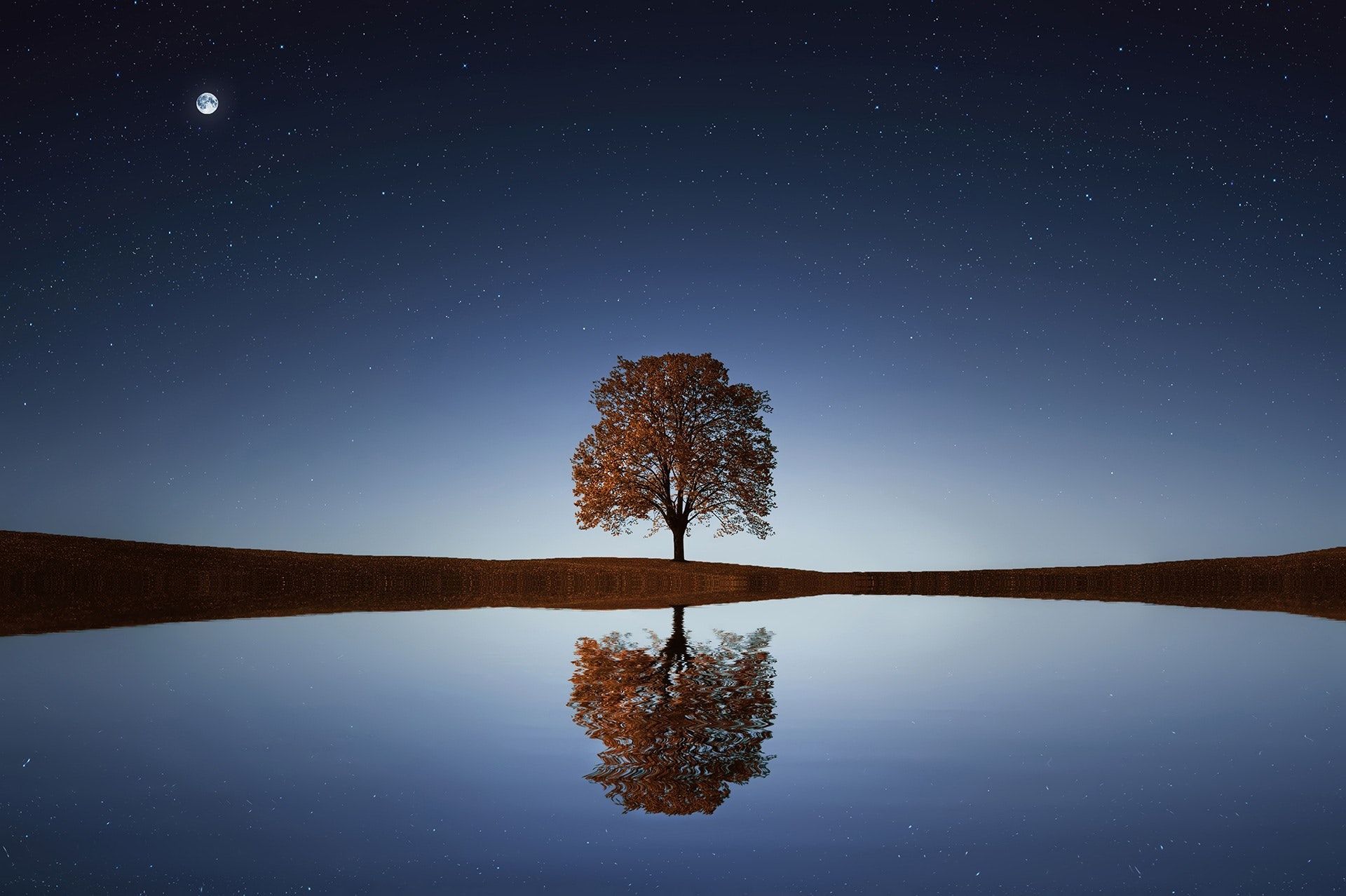 Tree of Reflection